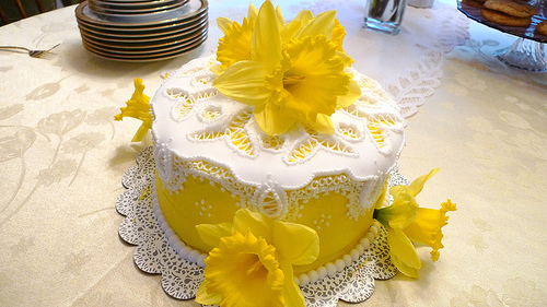 Birthday Cake and Designs 101